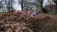 EF300 Leaf Plow