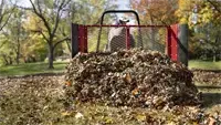 EF300 Leaf Plow