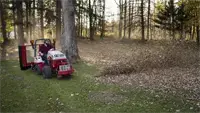 EF300 Leaf Plow