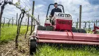 MWMY Flail Mowers