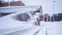 NX340 Snowblower